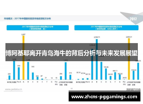 博阿基耶离开青岛海牛的背后分析与未来发展展望
