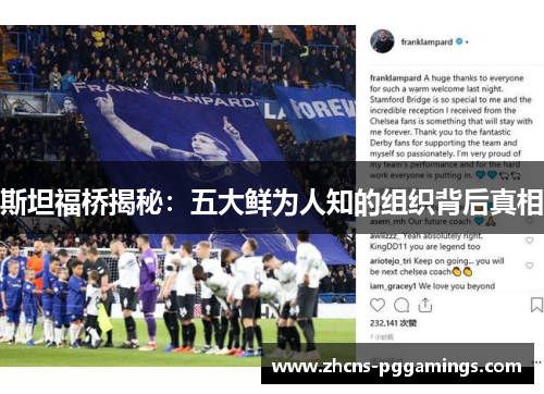 斯坦福桥揭秘：五大鲜为人知的组织背后真相