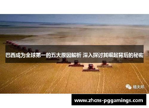 巴西成为全球第一的五大原因解析 深入探讨其崛起背后的秘密