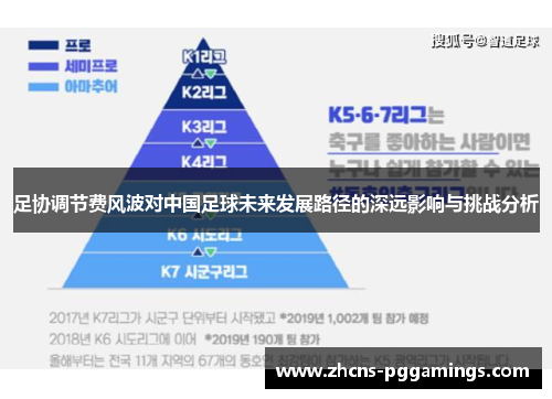 足协调节费风波对中国足球未来发展路径的深远影响与挑战分析