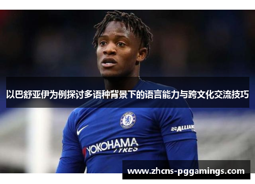 以巴舒亚伊为例探讨多语种背景下的语言能力与跨文化交流技巧